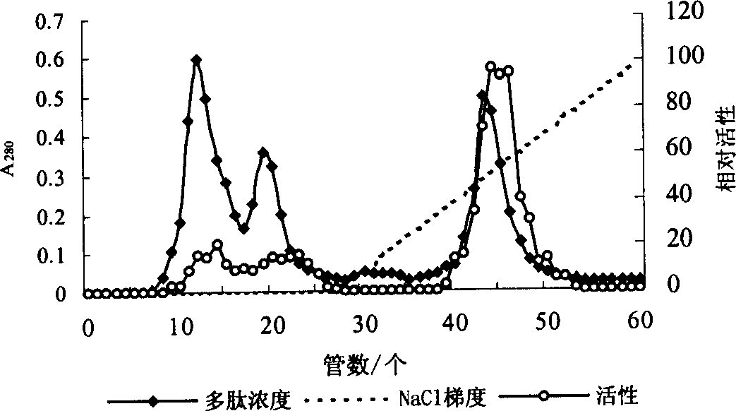 Oxidation resistant bioactive peptide of halobios and preparation method