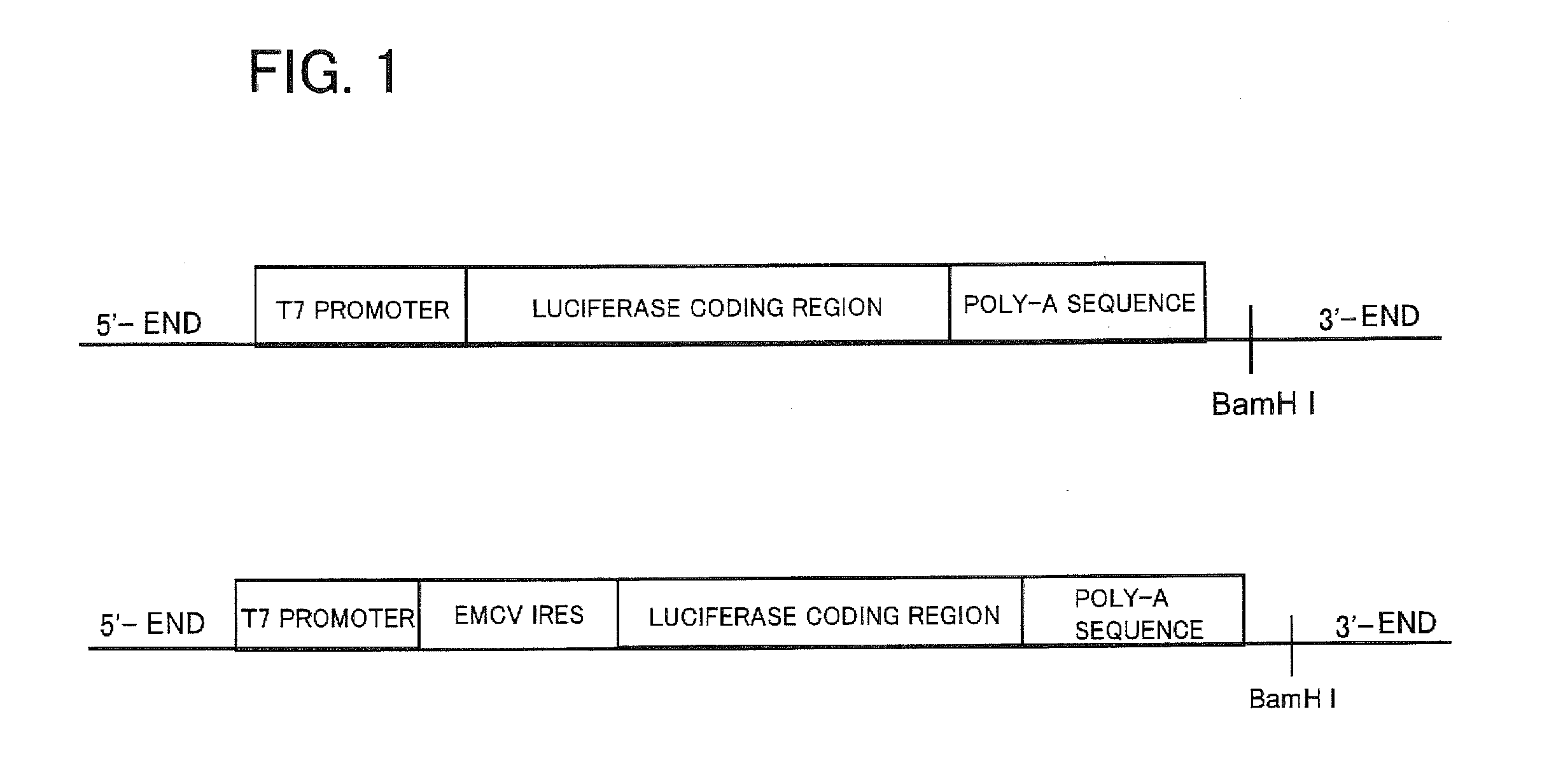 Cell-free system for synthesis of proteins derived from cultured mammalian cells