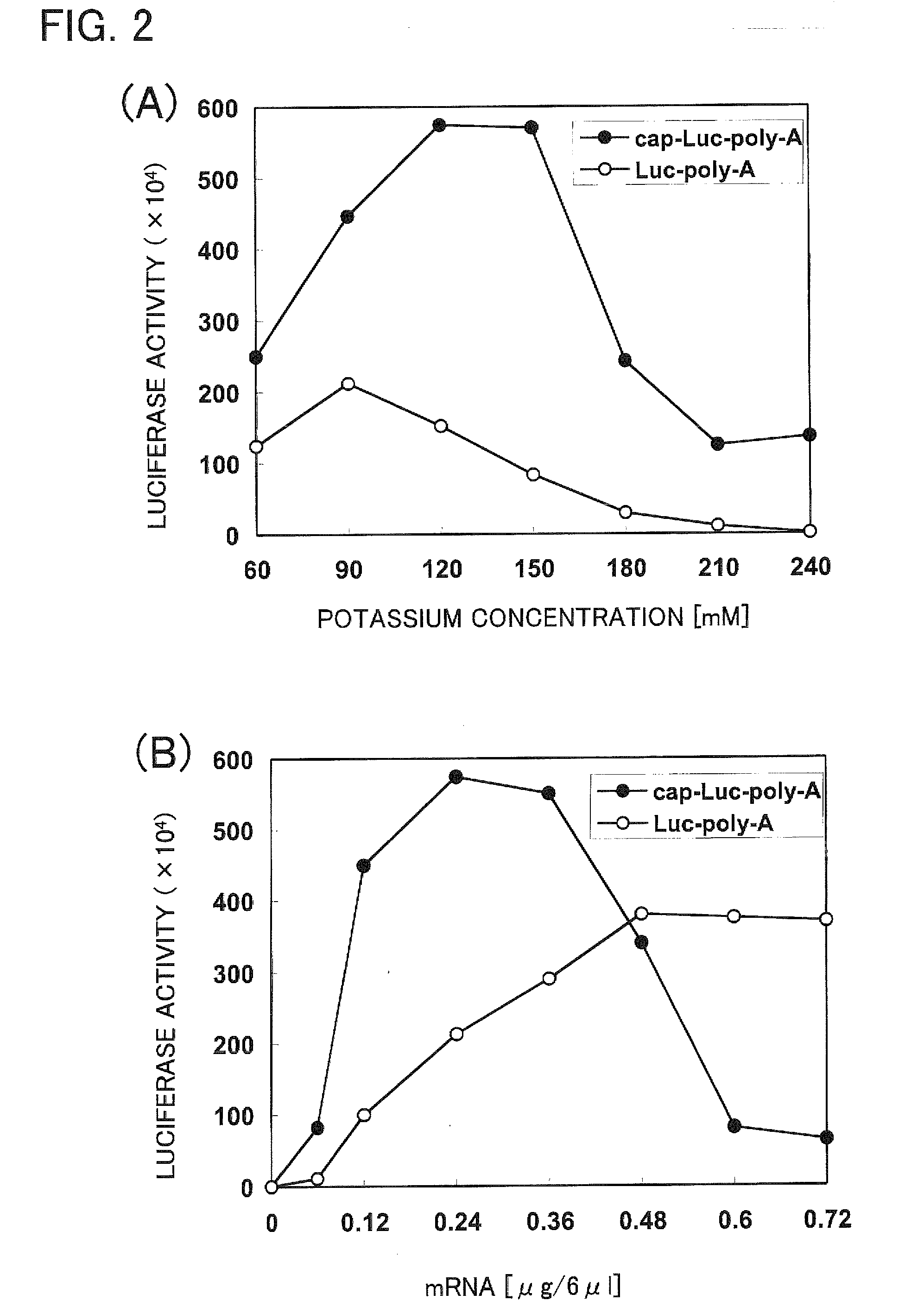 Cell-free system for synthesis of proteins derived from cultured mammalian cells