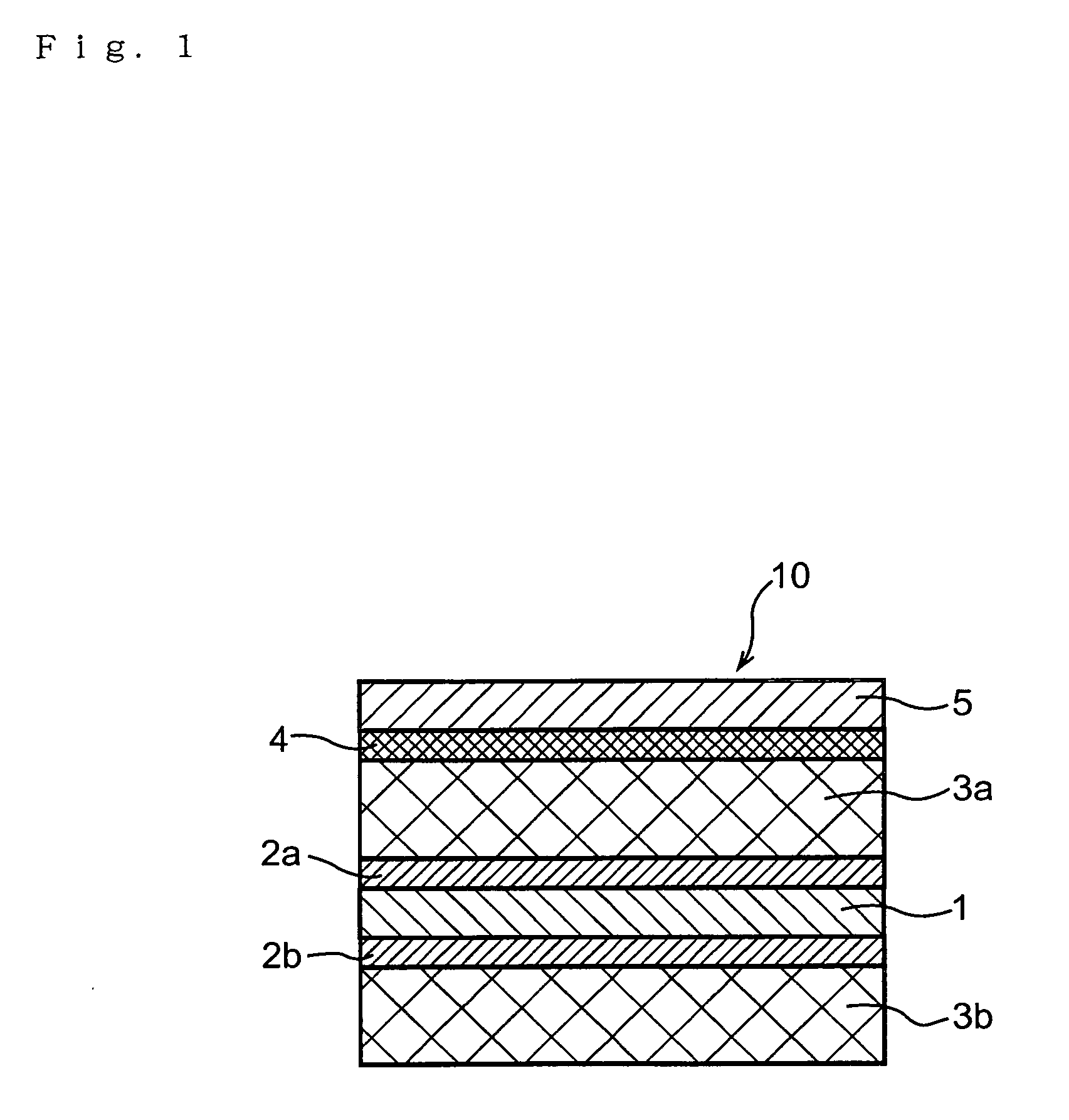 Resin composition containing inorganic nucleating agent, molding thereof and process for producing the same