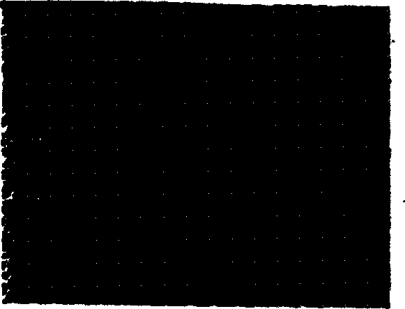 Method for preparing tissue engineered corneal epithelium implantation sheet from epidermis stem cell, and its application