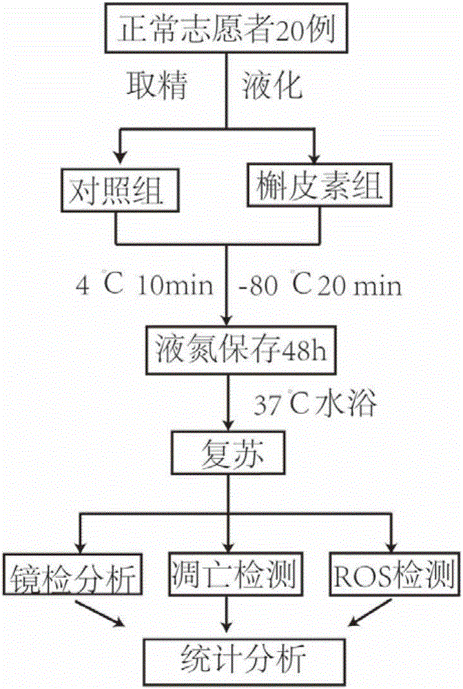 Human sperm cryopreservation liquid and human sperm cryopreservation method
