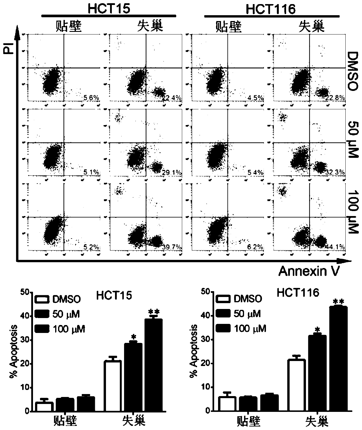 The application of ethyl moxel in the treatment of colorectal cancer