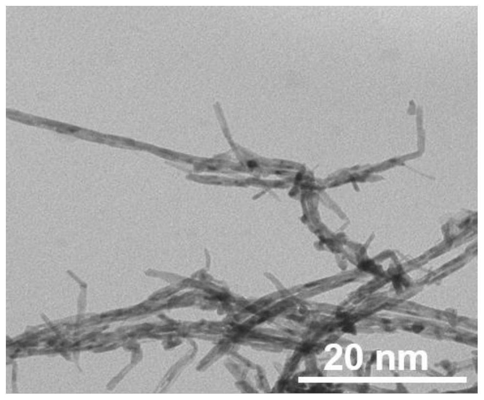 Phosphorus-doped platinum-nickel nanowire and preparation method and application thereof