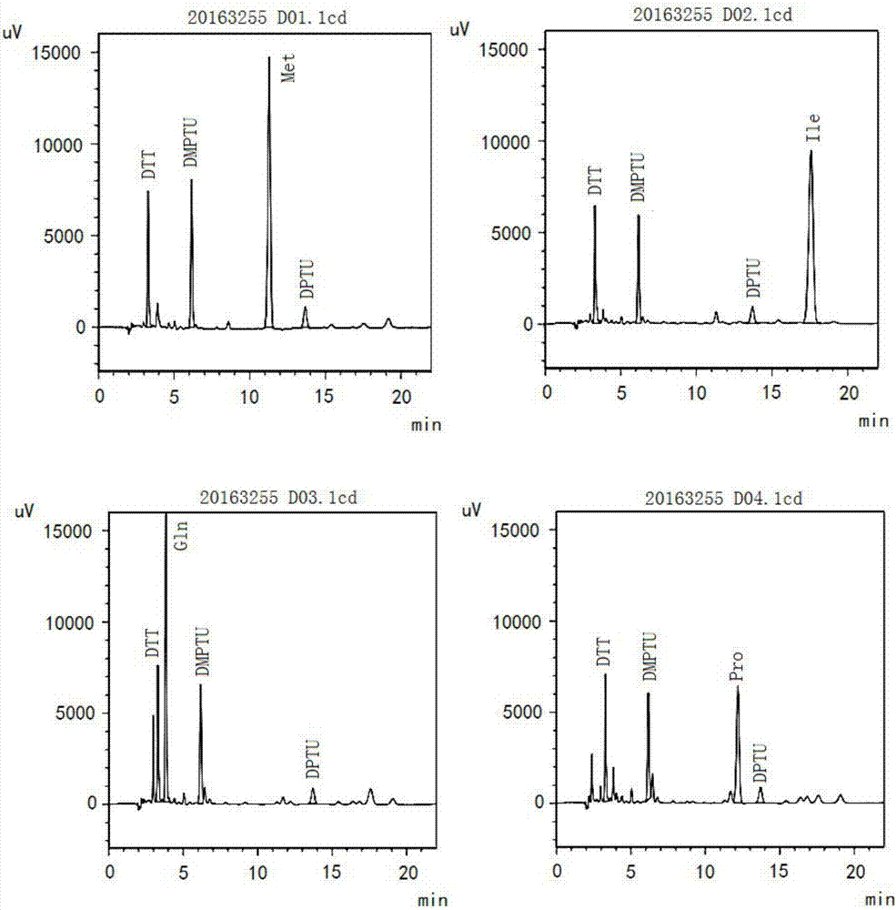 Recombinant Wzt protein rabbit serum polyclonal antibody and preparation method thereof