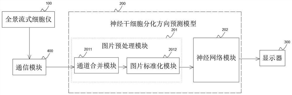 Neural stem cell differentiation direction prediction system and method based on deep learning