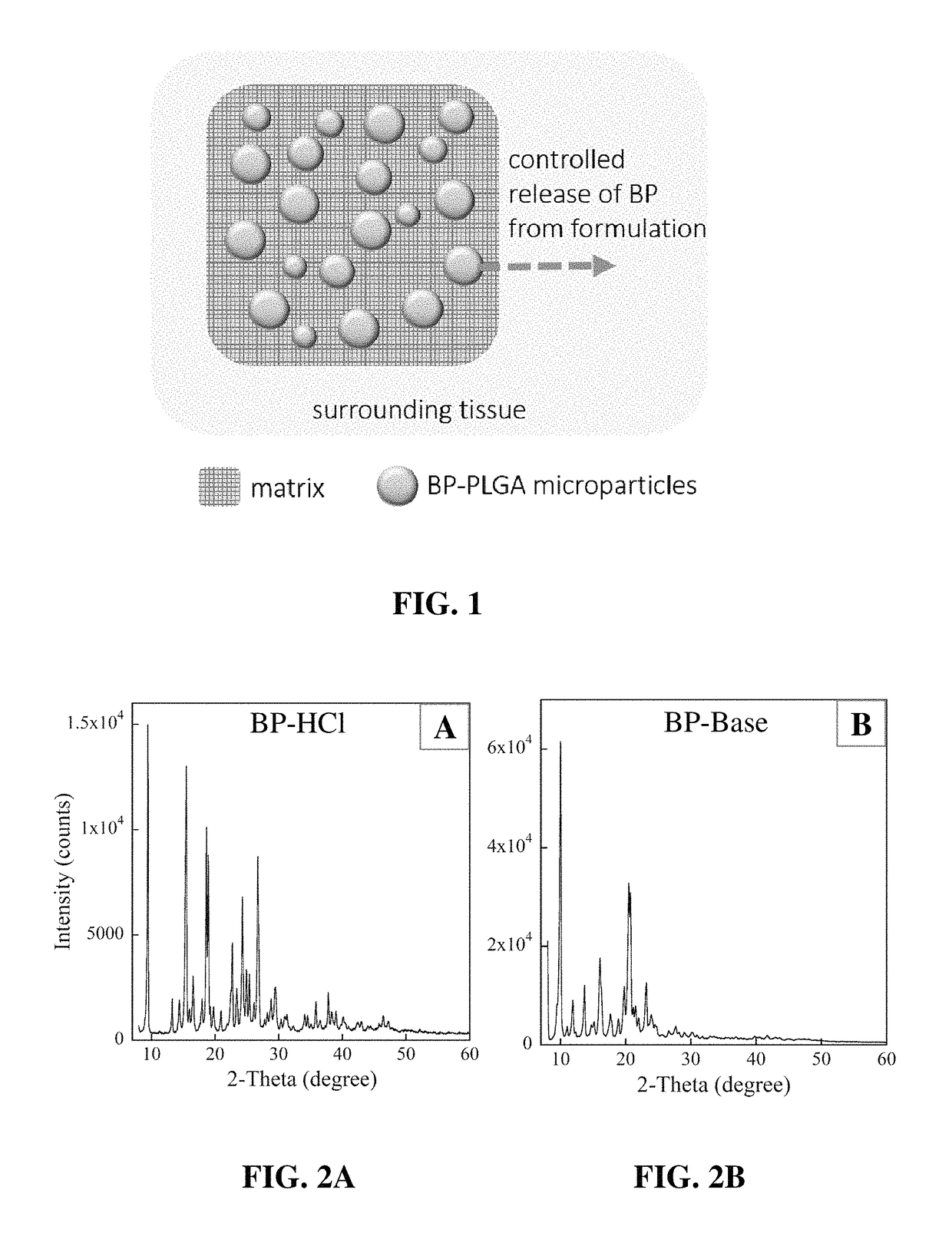 Biocompatible dental putty formulations for controlled release of bupivacaine