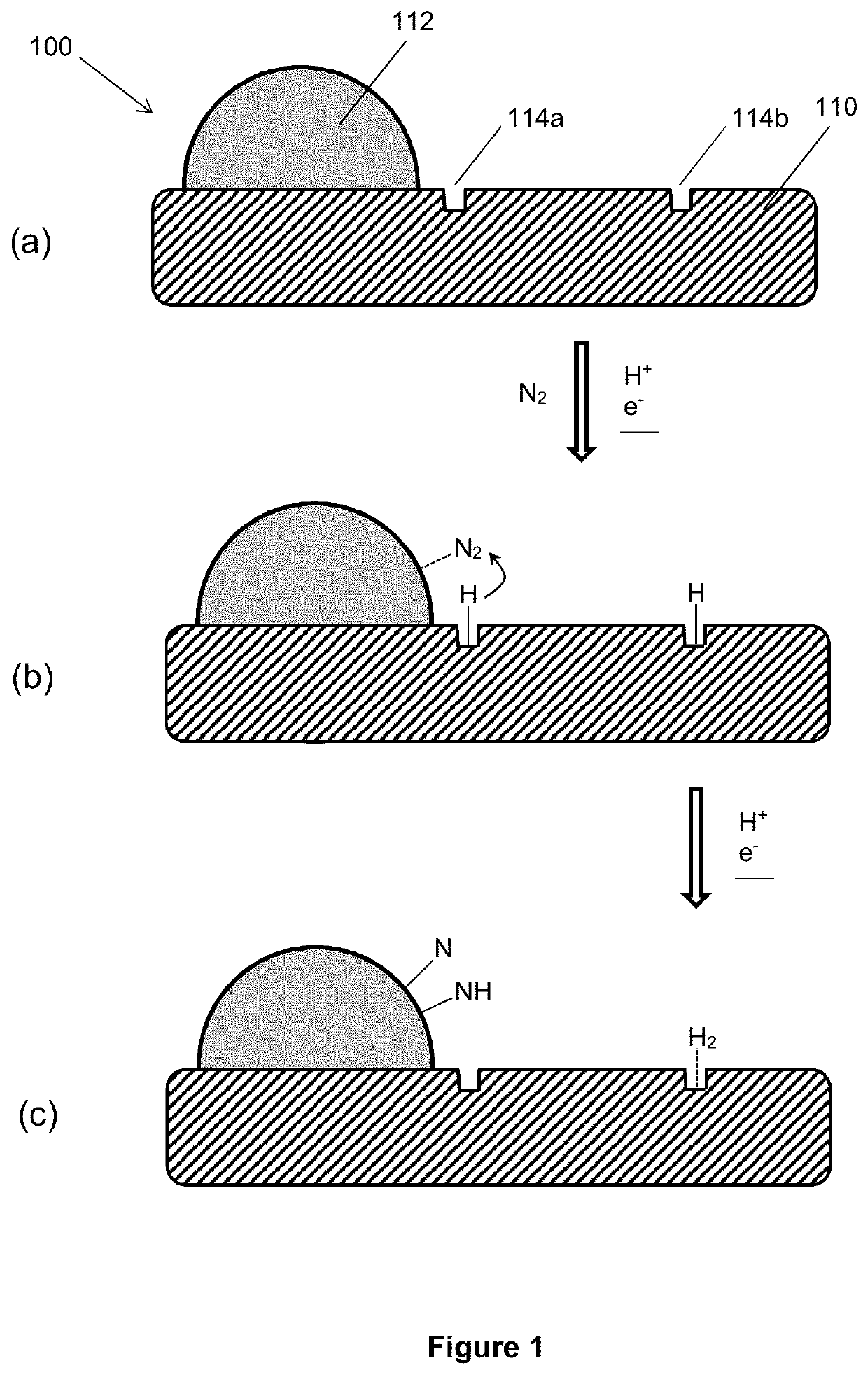 An electrolytic composition and cathode for the nitrogen reduction reaction