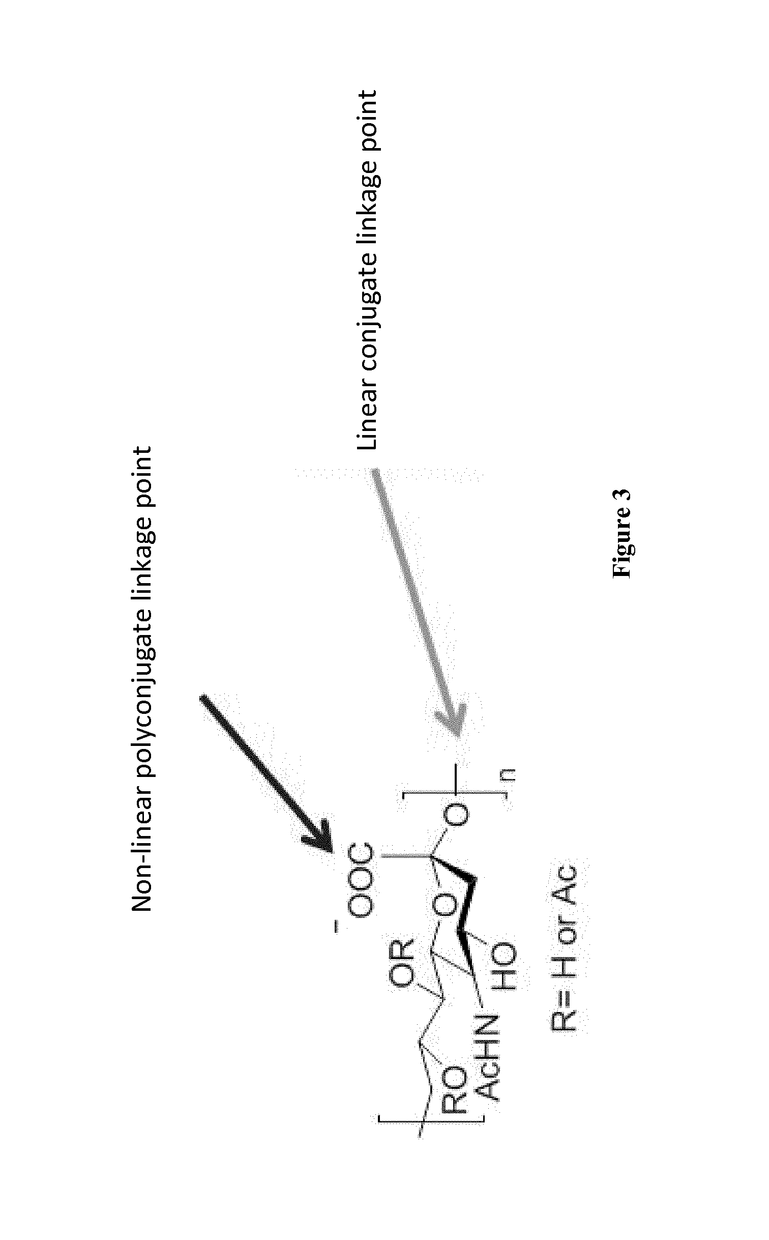 Nonlinear saccharide conjugates