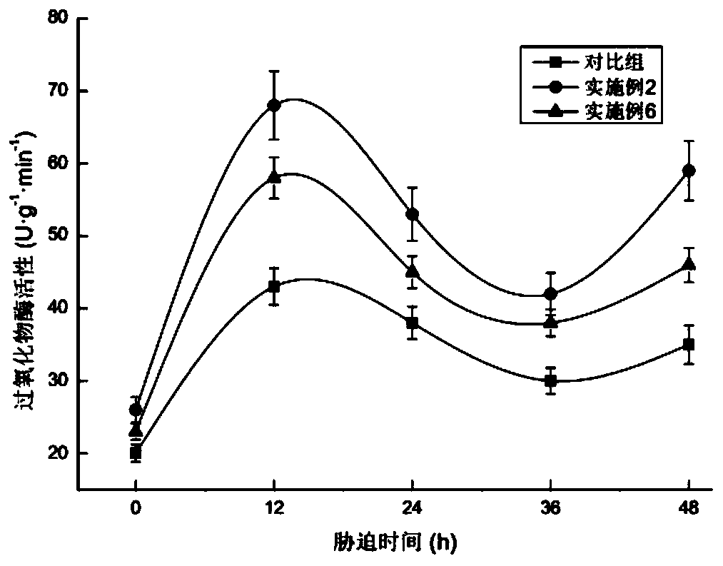 Cultivation method of spirulina platensis in saline stress environment
