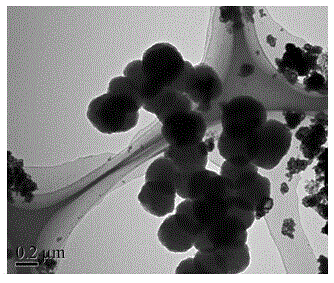 PMMA-coated hollow tin alloy nanoparticles and preparation method and application thereof