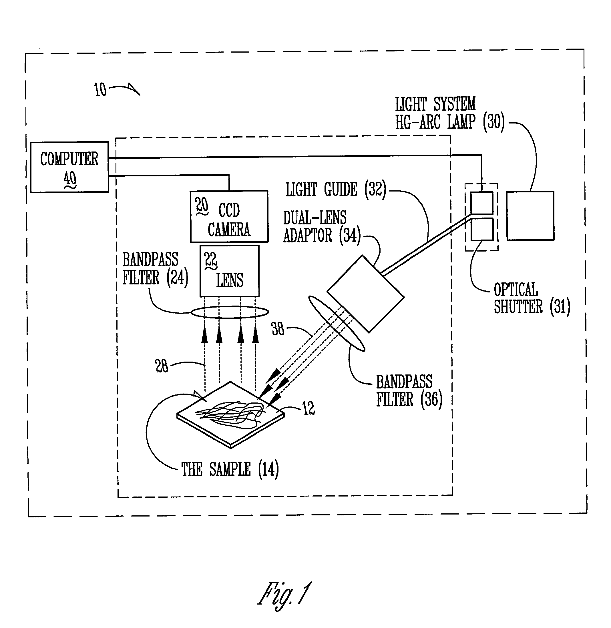 Automated plant analysis method, apparatus, and system using imaging technologies