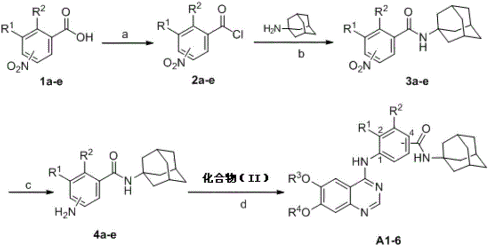Adamantyl quinazoline compound, composition and application of adamantyl quinazoline compound and composition
