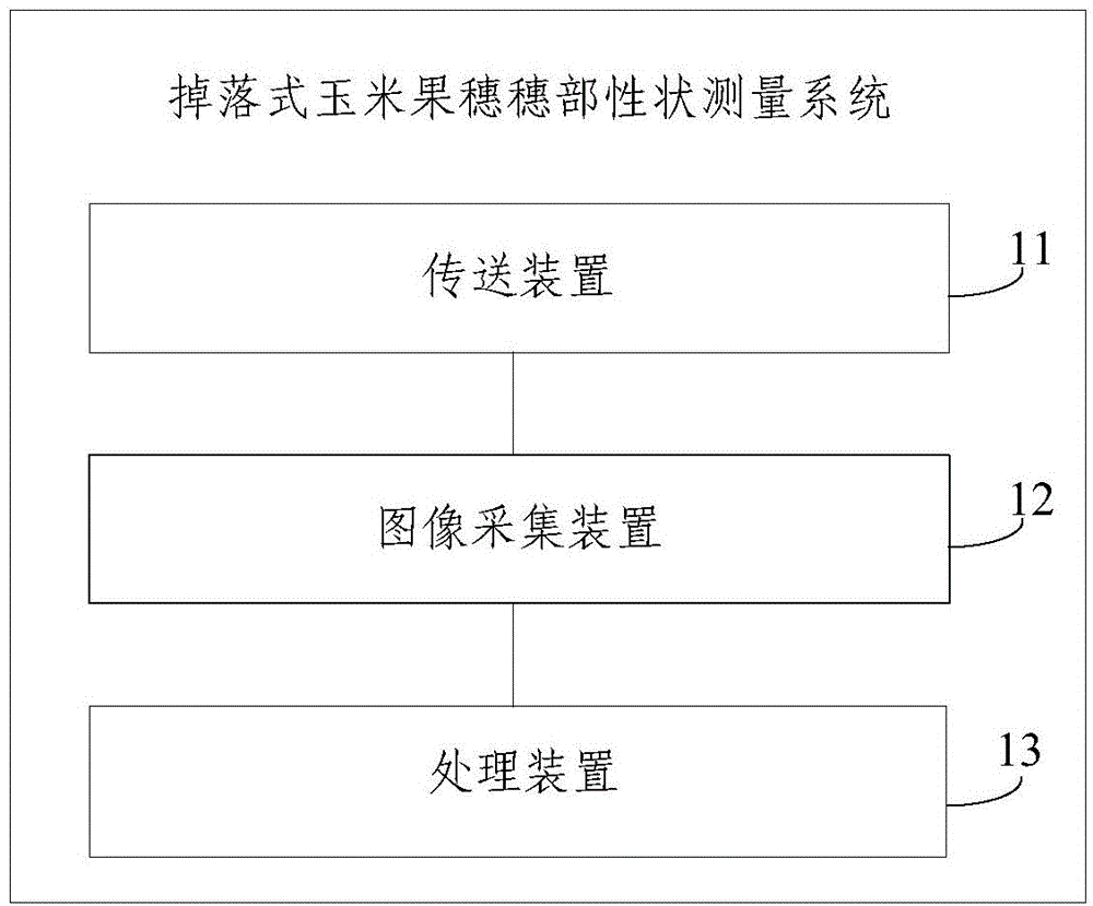 Falling type corn ear holographic character rapid measuring system and method