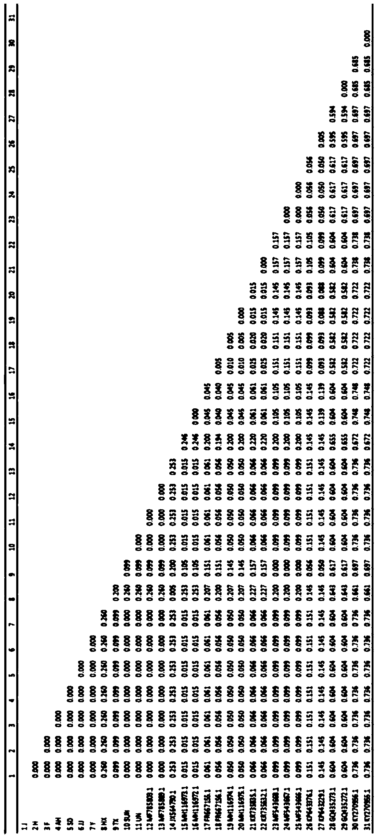 Method for identifying gnaphalium affine variety by utilizing psbA-trnH sequence