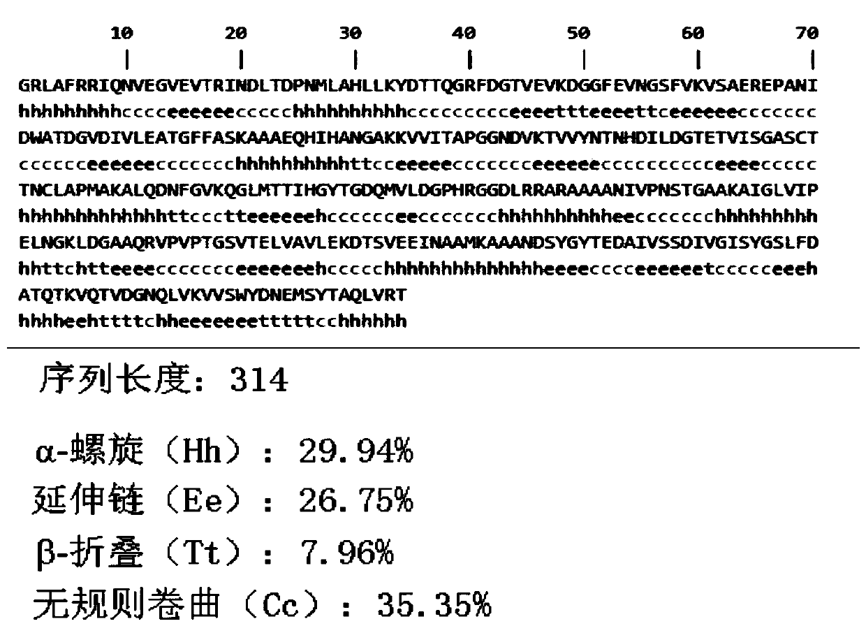 Paralichthys olivaceus streptococcus iniae GAPDH series-connection multi-epitope polypeptide and application thereof