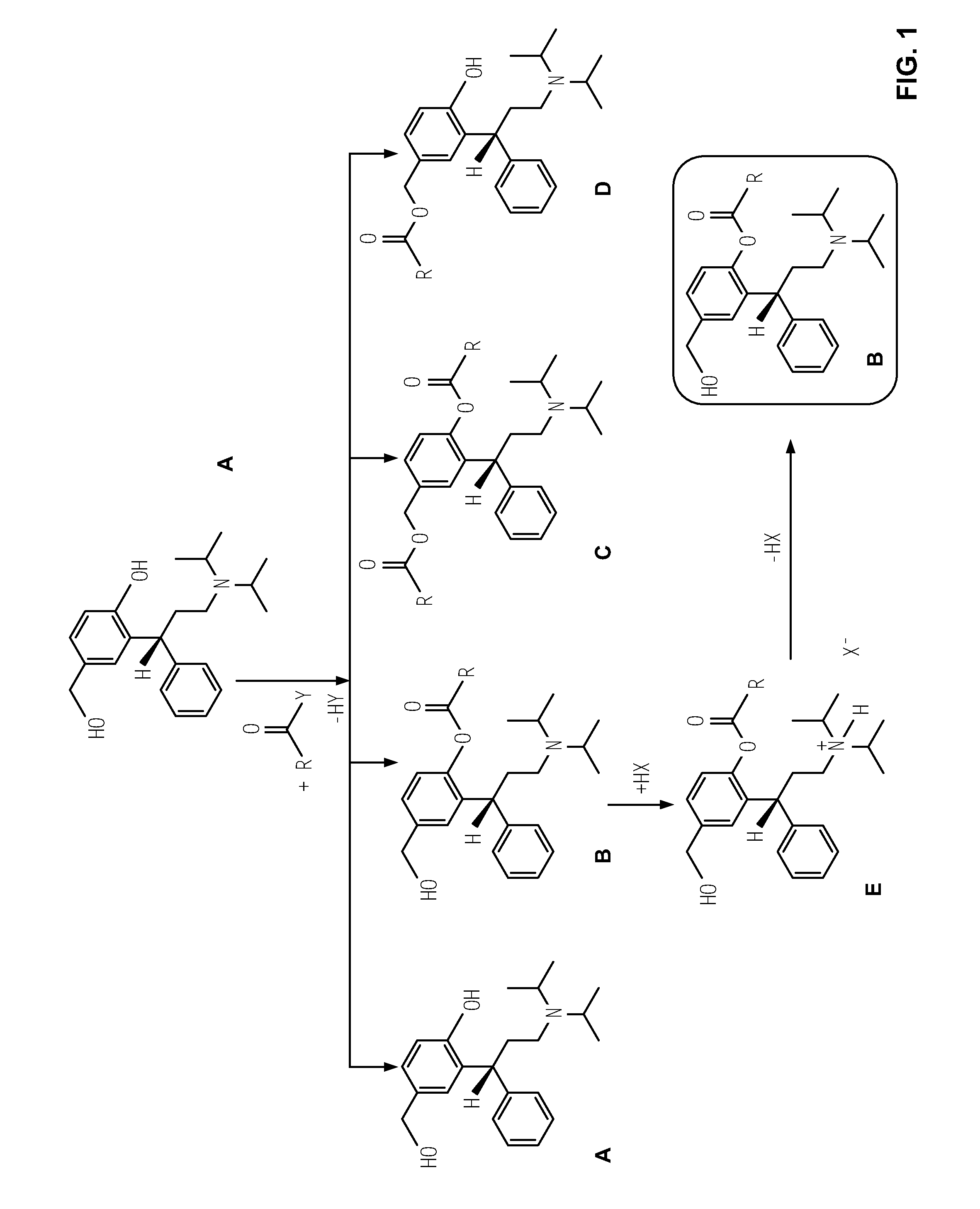 Transdermal delivery of (r)-3,3-diphenylpropylamin-monoestern