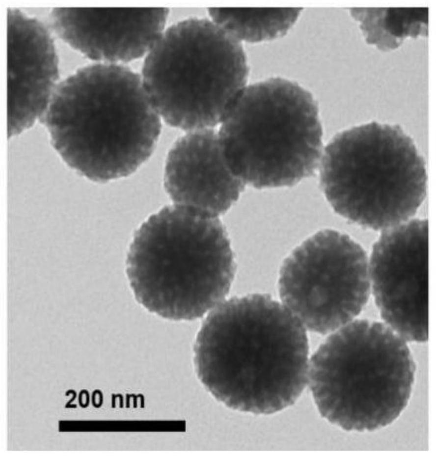 A Mesoporous Polydopamine Nanoparticle for Tumor T1-T2 Magnetic Resonance Imaging