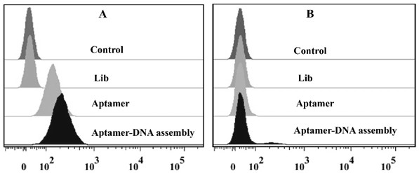 A construction method and application of an aptamer-DNA polymer based on nonlinear hybridization chain amplification