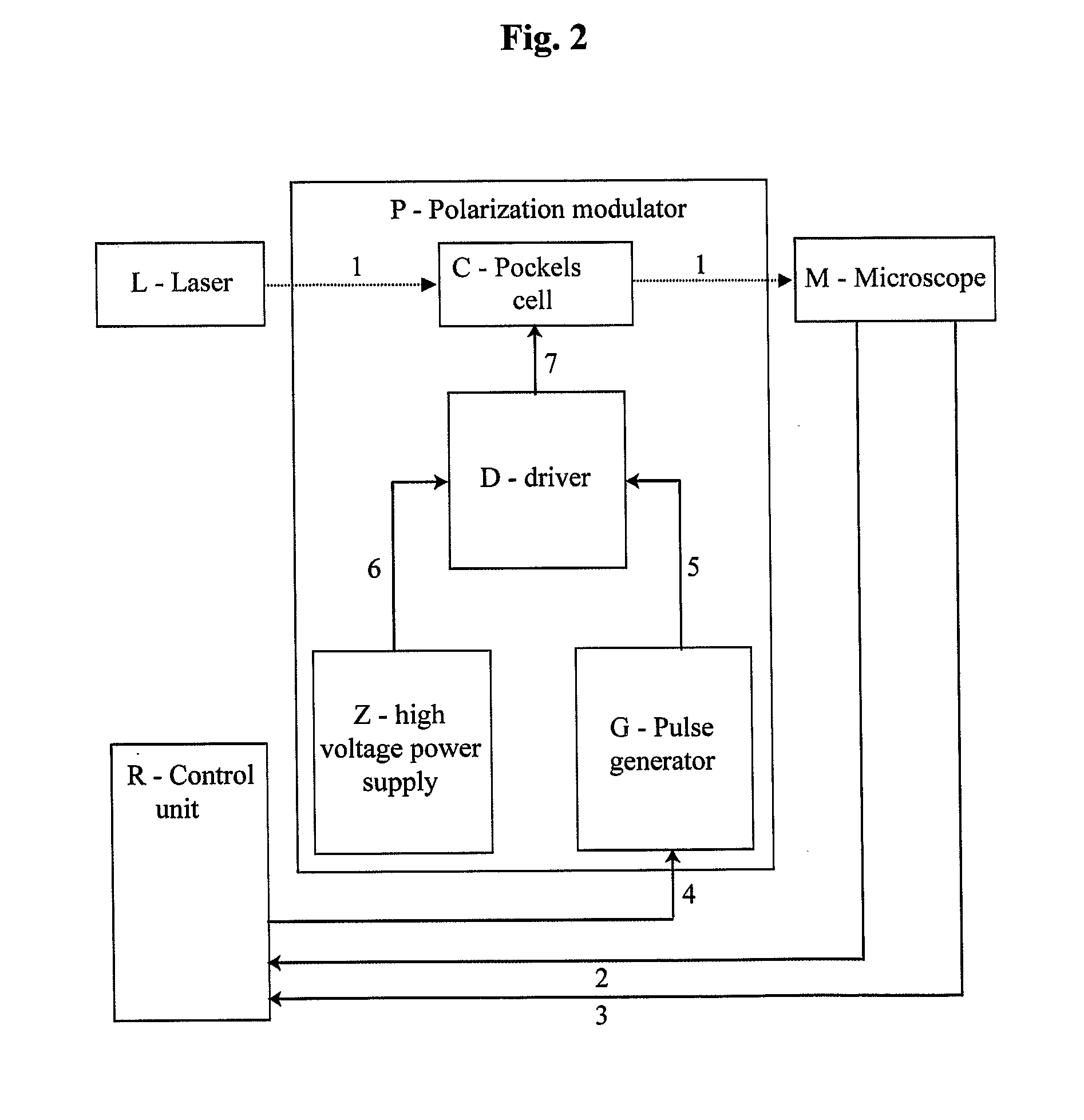 Method for obtaining structural and functional information on proteins, based on polarization fluorescence microscopy