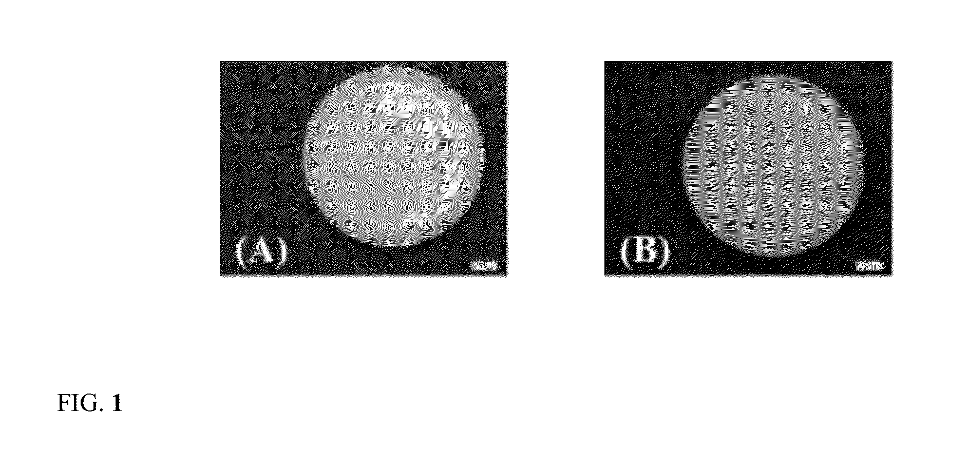Sustained release oral matrix and methods of making thereof