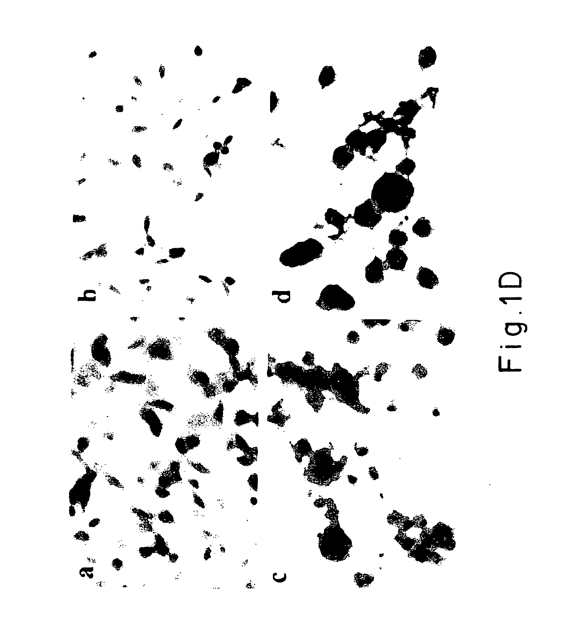Methods for preventing neural tissue damage and for the treatment of alpha-synuclein diseases