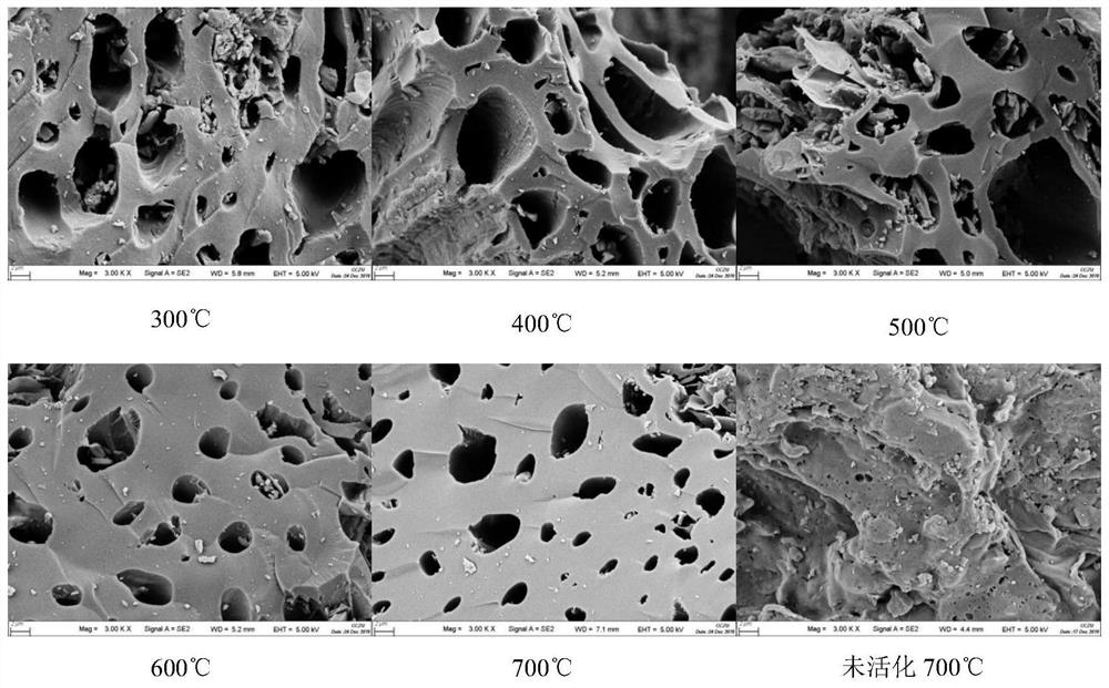 A kind of discarded mango kernel biochar and preparation method thereof