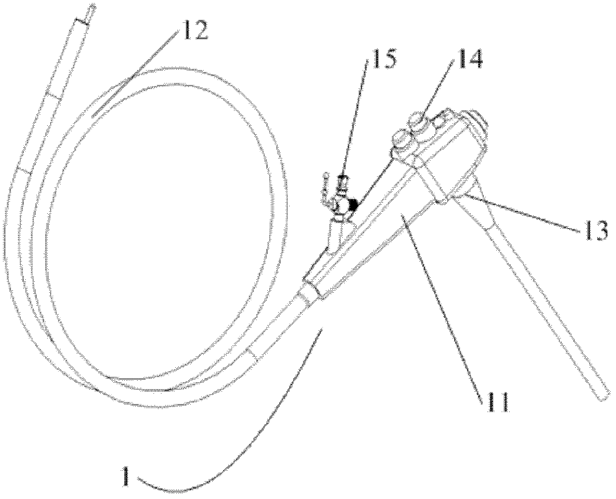 OCT (optical coherence tomography) electronic colonoscope system