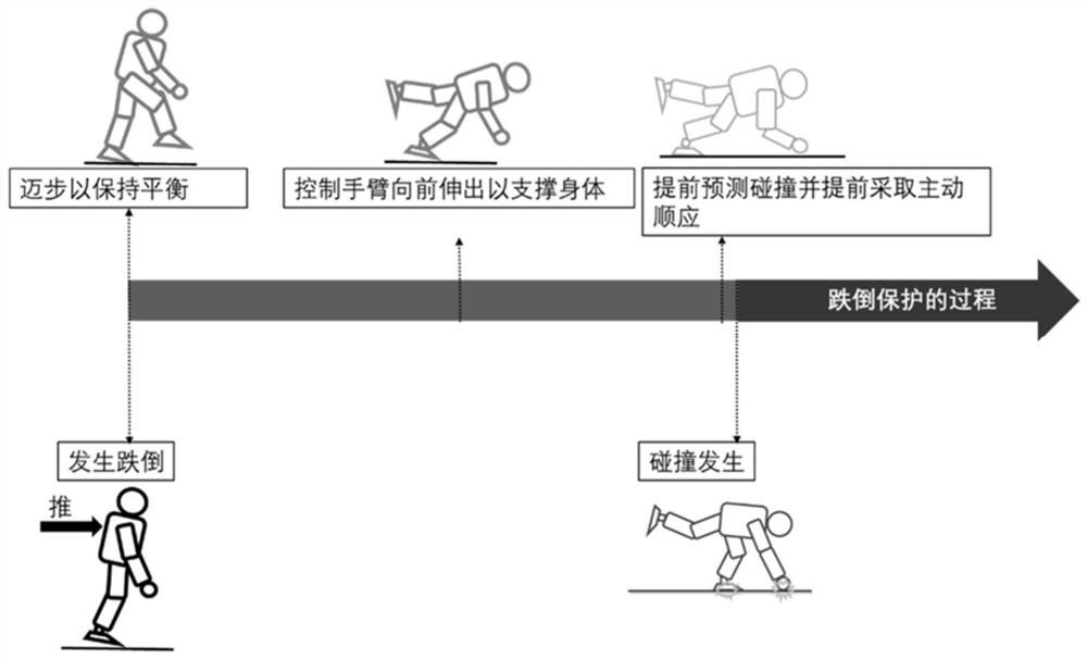 Robot falling protection method and system based on impact prediction and active compliance