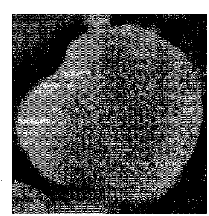 Thermoplastic resin composition, process for producing the same and molding