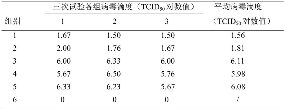 Novel application of sodium bicarbonate in prevention and treatment of human coronavirus infection