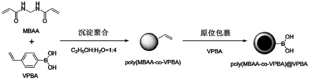 Monodisperse core-shell structure polymer nano particle as well as preparation and application thereof