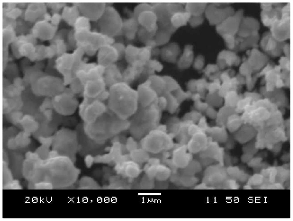 Cold isostatic pressing forming preparation method of nickel oxide-based ceramic target material