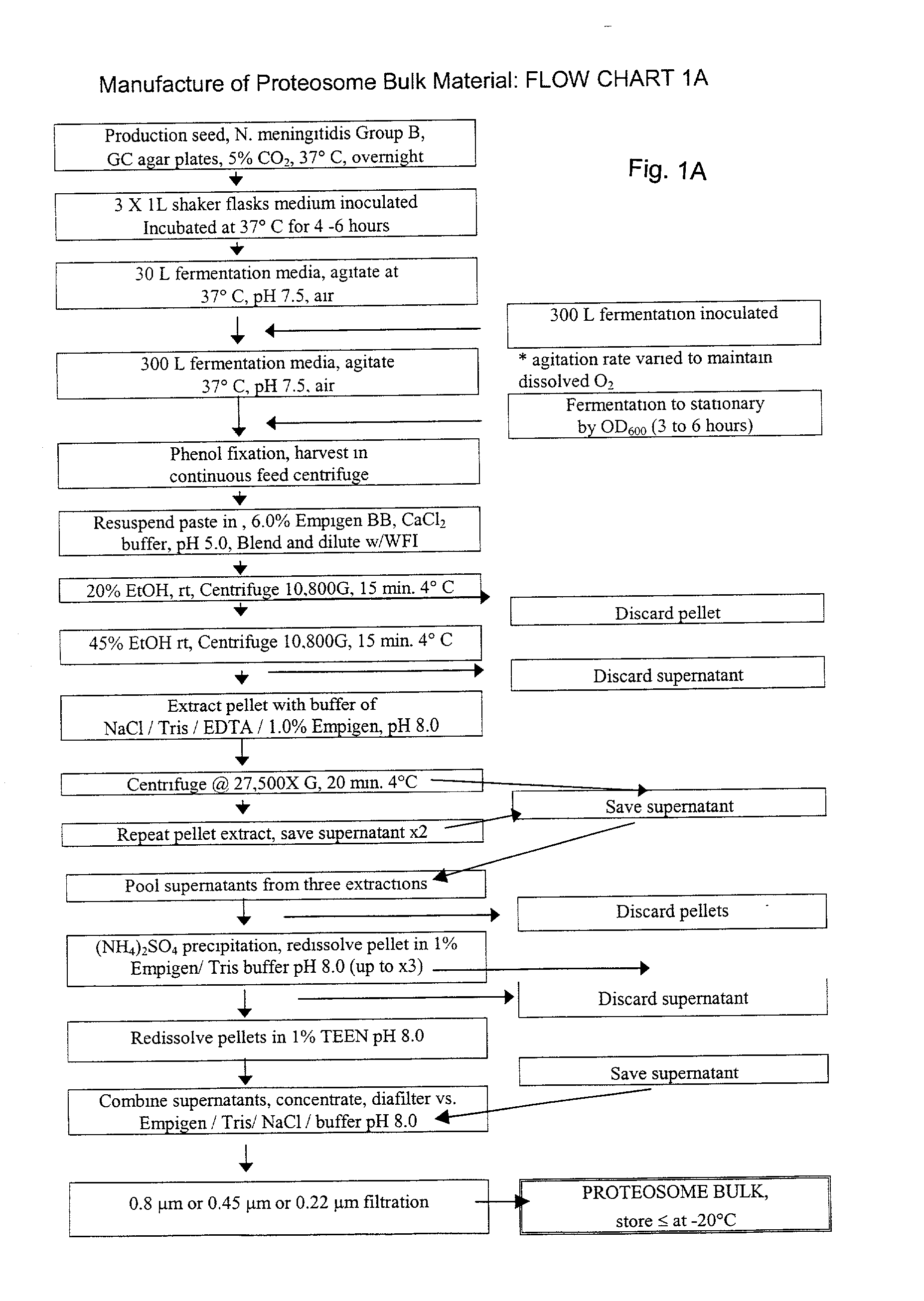 Novel proteosome-liposaccharide vaccine adjuvant