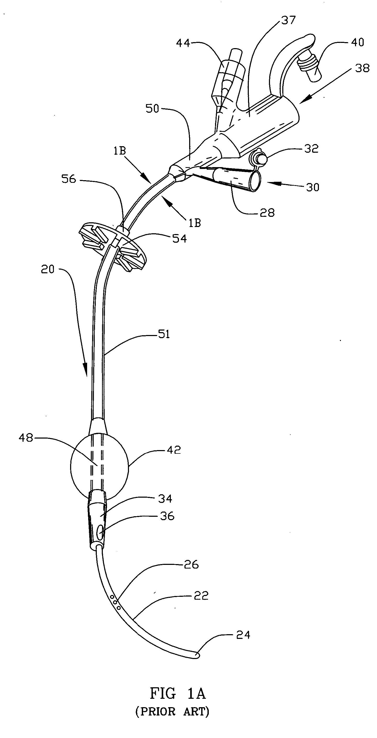 Connector with connection mechanism adapted for releasable interconnection with tube
