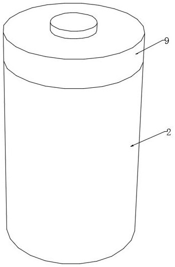 Supercritical extraction method of fruit and vegetable active substances