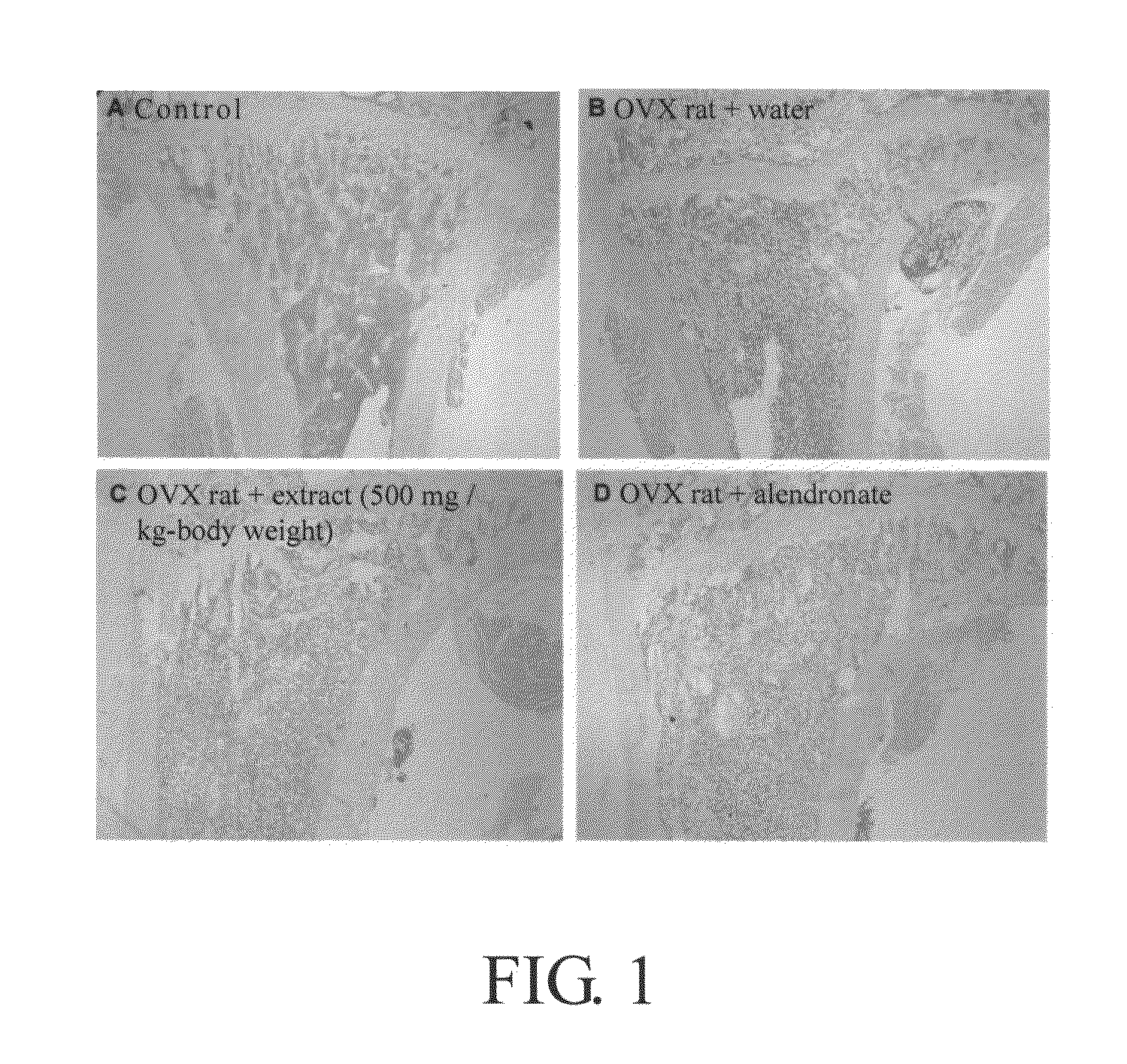 Method for inhibiting formation and/or activation of osteoclasts using flemingia macrophylla extract or lespedeza flavanone A