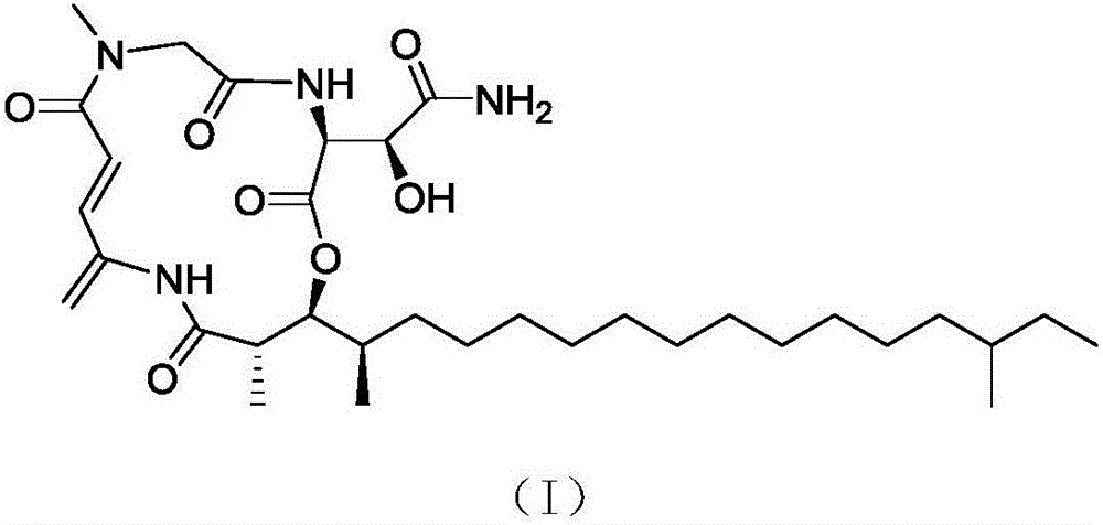Rakicidins compounds Rakicidin B1 and preparation method thereof
