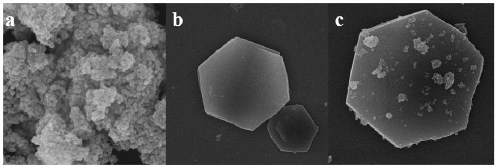 Photocatalyst for CO2 reduction-biomass oxidation coupling reaction and preparation method thereof