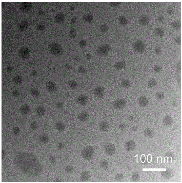 Hypoxia responsive liposome preparation, preparation method and application thereof