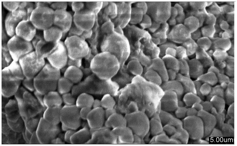 Anthocyanin sustained-release microcapsule, preparation method thereof and skin care product