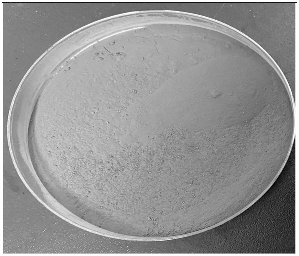 Anthocyanin sustained-release microcapsule, preparation method thereof and skin care product