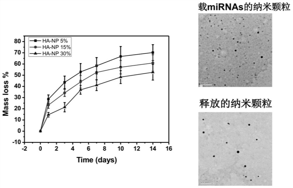 A degradable miRNAs-loaded nanocomposite coating and its preparation method and application