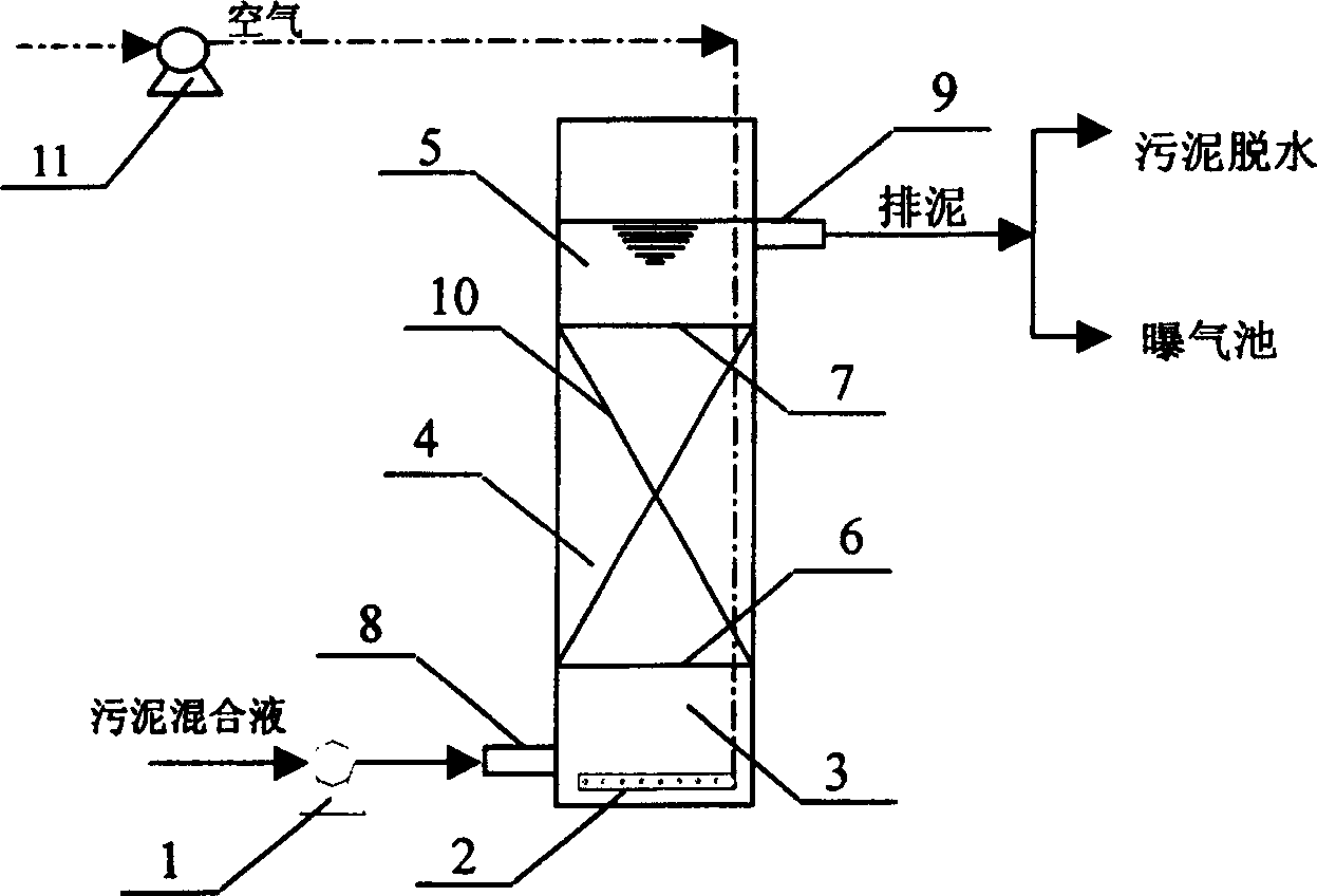 Vertical flow composite type biological sludge minimization reactor and its operation method