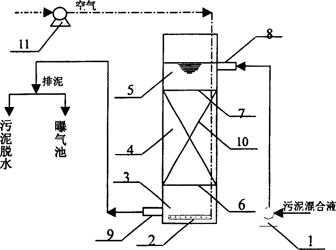 Vertical flow composite type biological sludge minimization reactor and its operation method