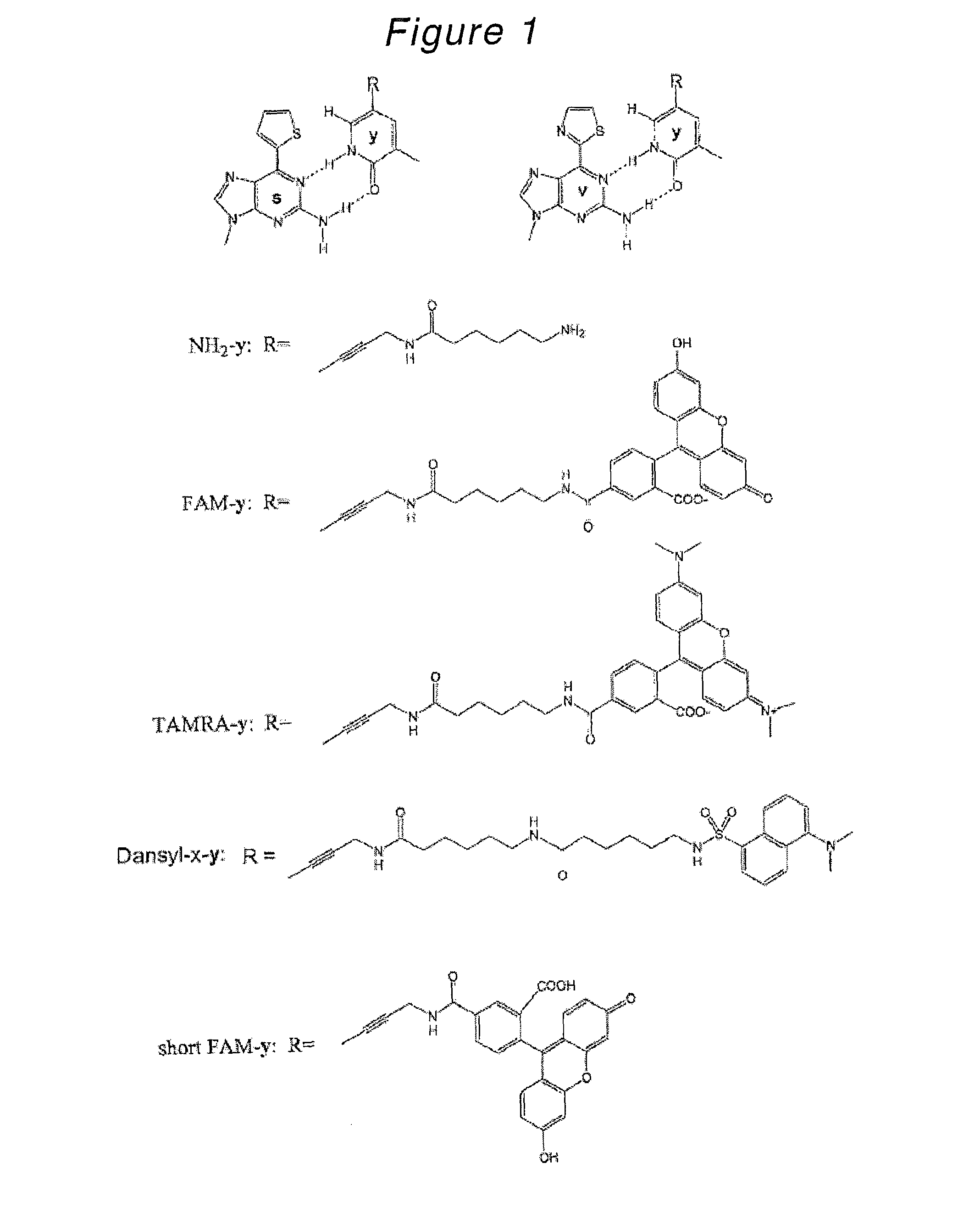 Nucleoside or nucleotide derivative and use thereof