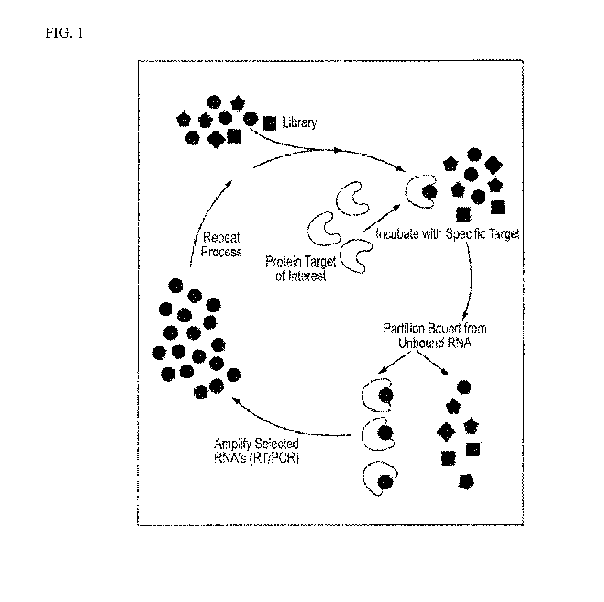 Nucleic acid modulators of glycoprotein vi