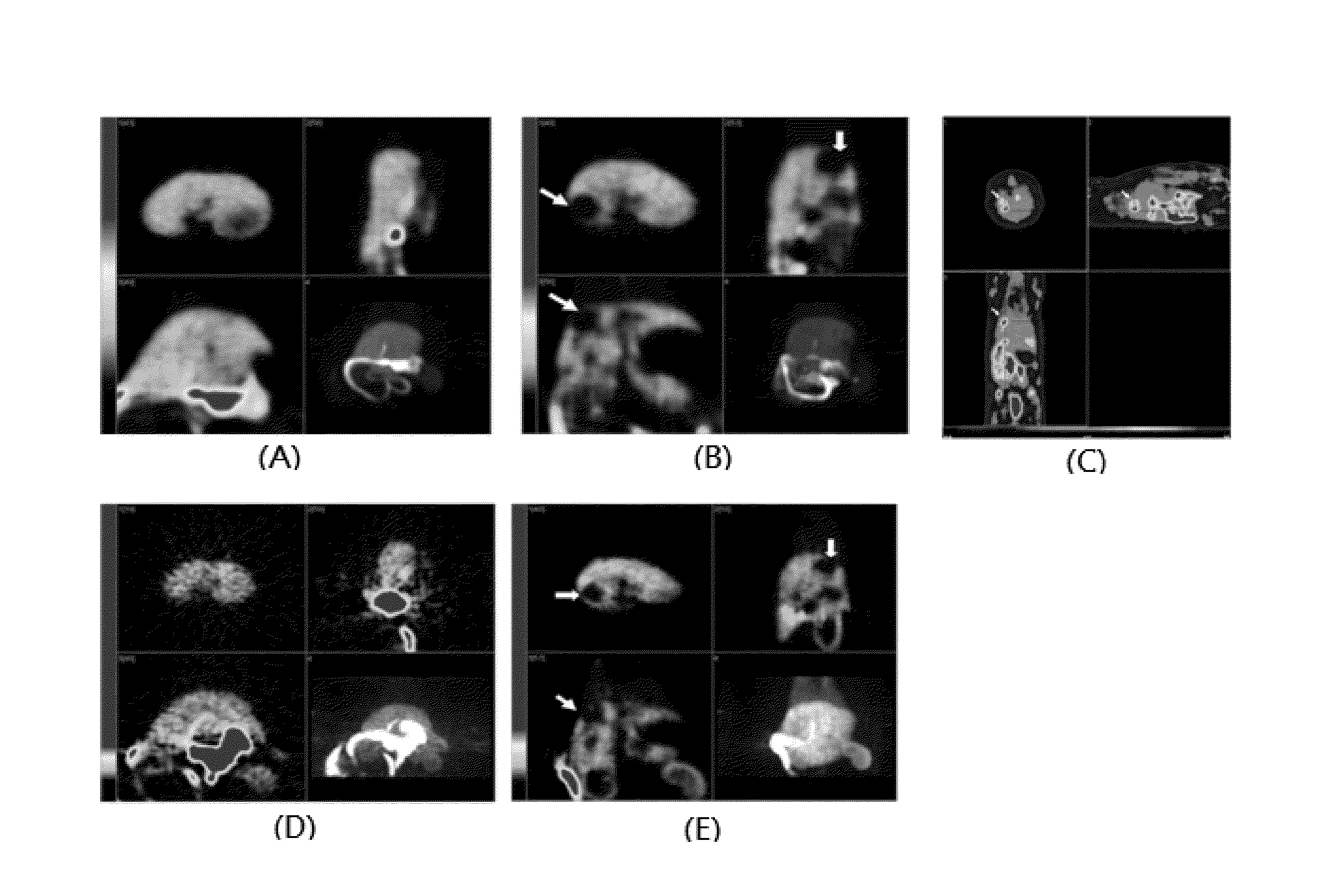 Method of preparing ethacrynic amide derivatives and application thereof