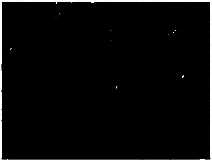 Carboxylated metal fullerene modified titanium dioxide compound material, preparation method and application thereof