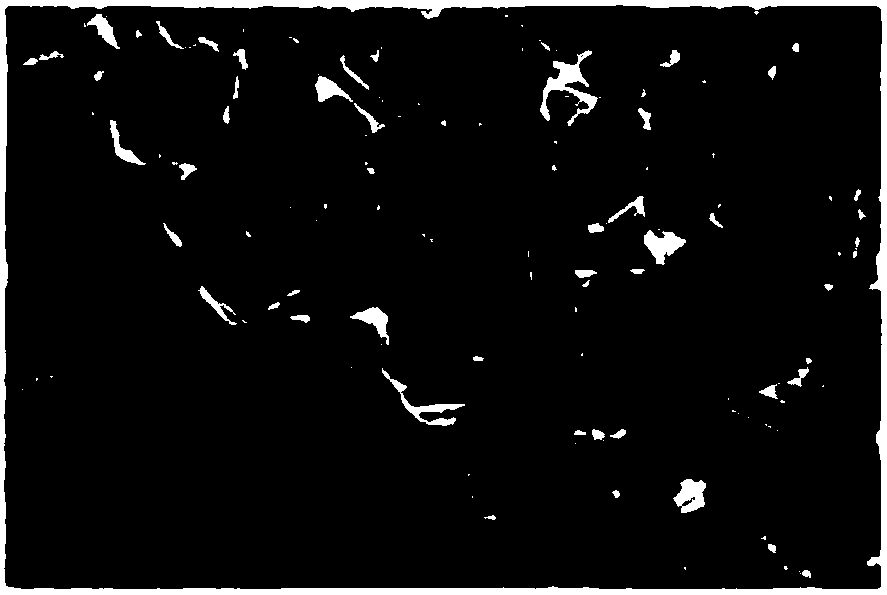 Carboxylated metal fullerene modified titanium dioxide compound material, preparation method and application thereof